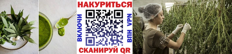 Canna-Cookies марихуана кракен как войти Плёс