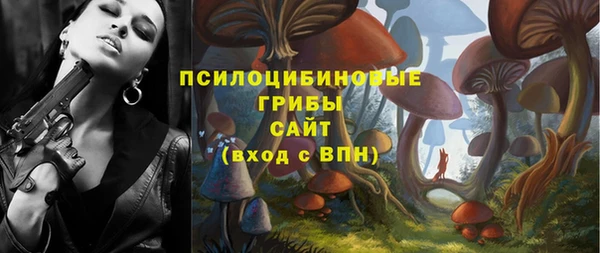 мяу мяу мука Баксан